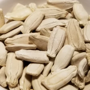 Grow your own Italian cucuzza squash with heirloom seeds from Christopher Cordaro's family farm in Ruston, LA. Proven germination, 40+ years of heritage. Only $9.