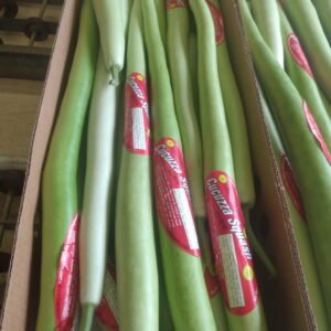 10lb Cucuzza Squash