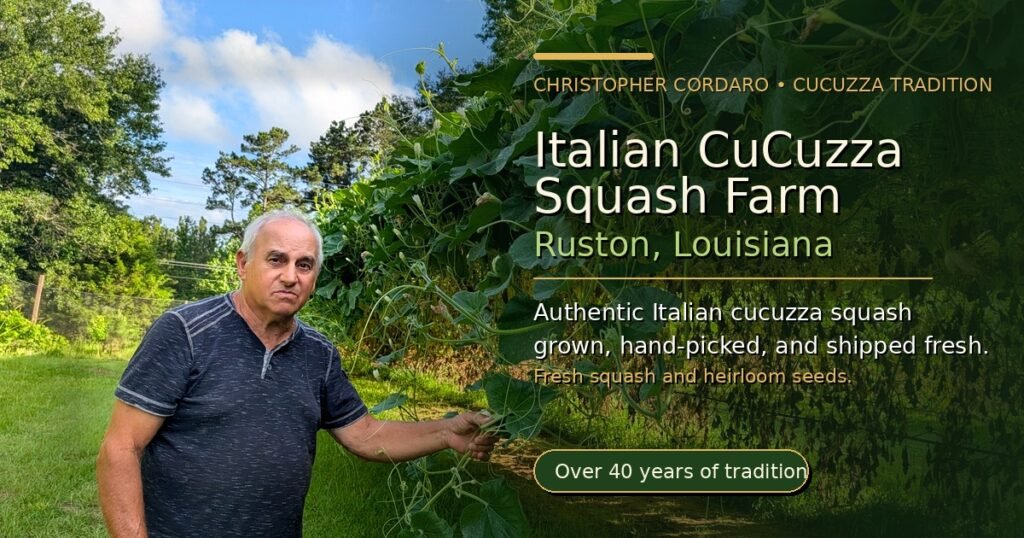 Family-grown Italian cucuzza squash & heirloom seeds from Ruston, Louisiana. Hand-picked fresh, bulk wholesale available. Ships nationwide. 40+ years of quality.
